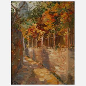 "Das Baumbachgässchen Altenburg"