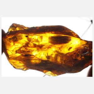 Großer Rohbernstein