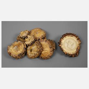 Konvolut Hirschhornrosen