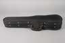 Violine im Etui