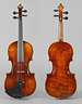 Violine Joseph Felix Riedl