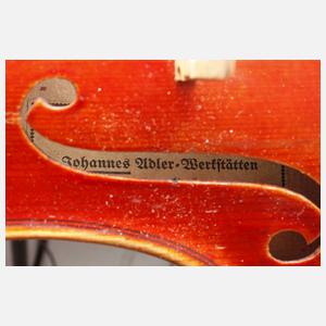 Violine Adler