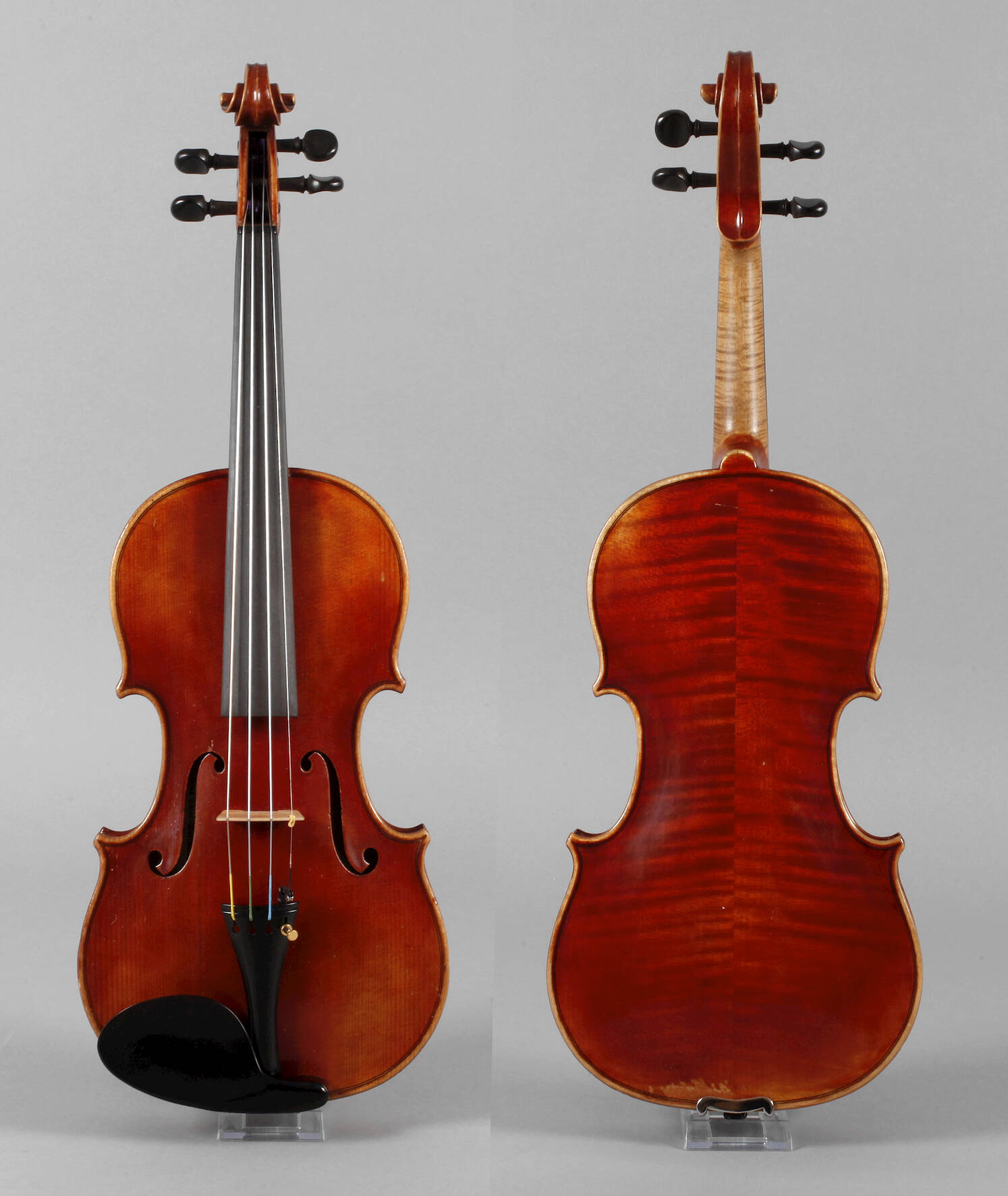 Violine Adler