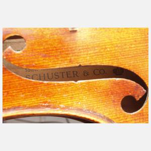 Violine Schuster