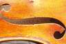 Violine Schuster