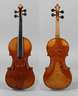 Violine