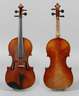 Violine