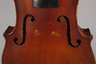 Violine