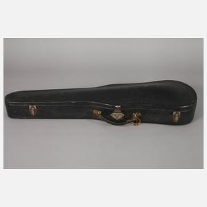 Violine im Etui