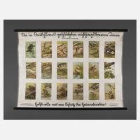 Schulwandtafel Kriechtiere und Lurche111