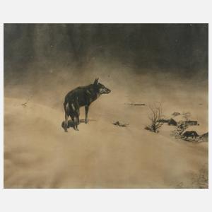 Russische Winterlandschaft