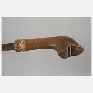 Krummsäbel Nordafrika