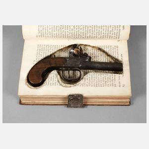 Steinschloss Terzerol