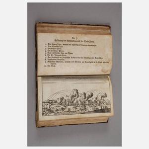 Die Historie des Krieges