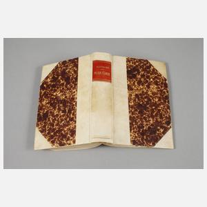 Pilger-Führer oder Wegweiser nach Rom