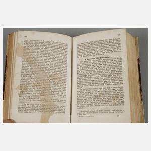 Pilger-Führer oder Wegweiser nach Rom