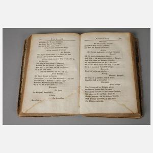 Theater von Schiller