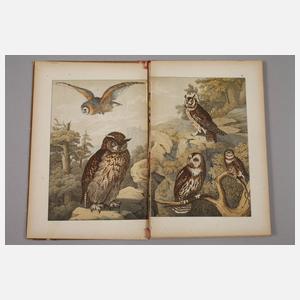 Zwei Bände Naturgeschichte des Thierreichs