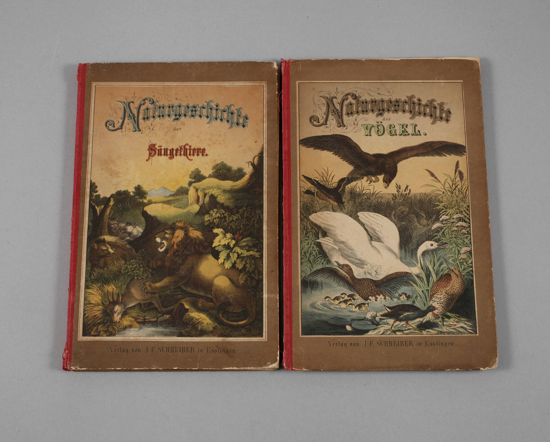 Zwei Bände Naturgeschichte des Thierreichs