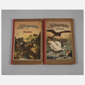 Zwei Bände Naturgeschichte des Thierreichs