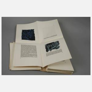 La Rue du Chat-qui-pêche