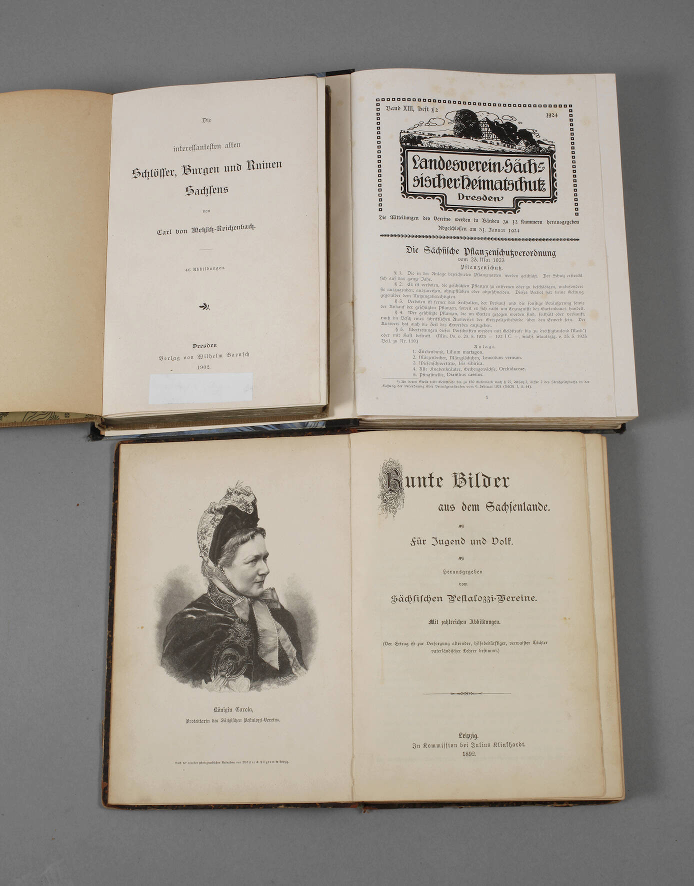 Konvolut Literatur Sachsen