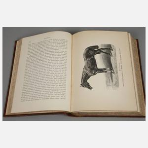 Das Buch vom Pferde