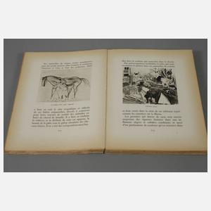 Monograph Raoul Dufy