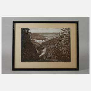 Foto Landesgemeindetal im Vogtland