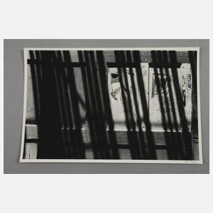 Konvolut Fotografien Jan Parik