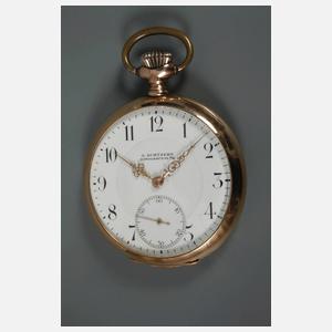 Goldsavonnette Zenit