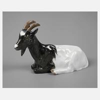 Meissen "Ziege"111