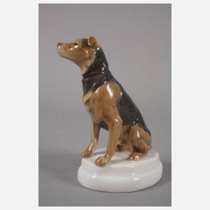 Meissen "Airedaleterrier"