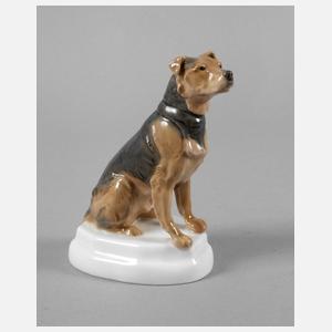 Meissen "Airedaleterrier"
