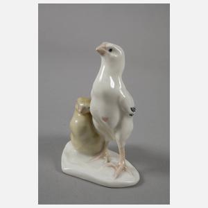 Meissen ”Junge Brahmahühner”