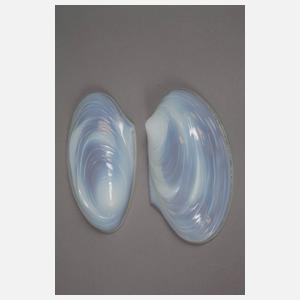 Sabino France zwei Muschelschalen