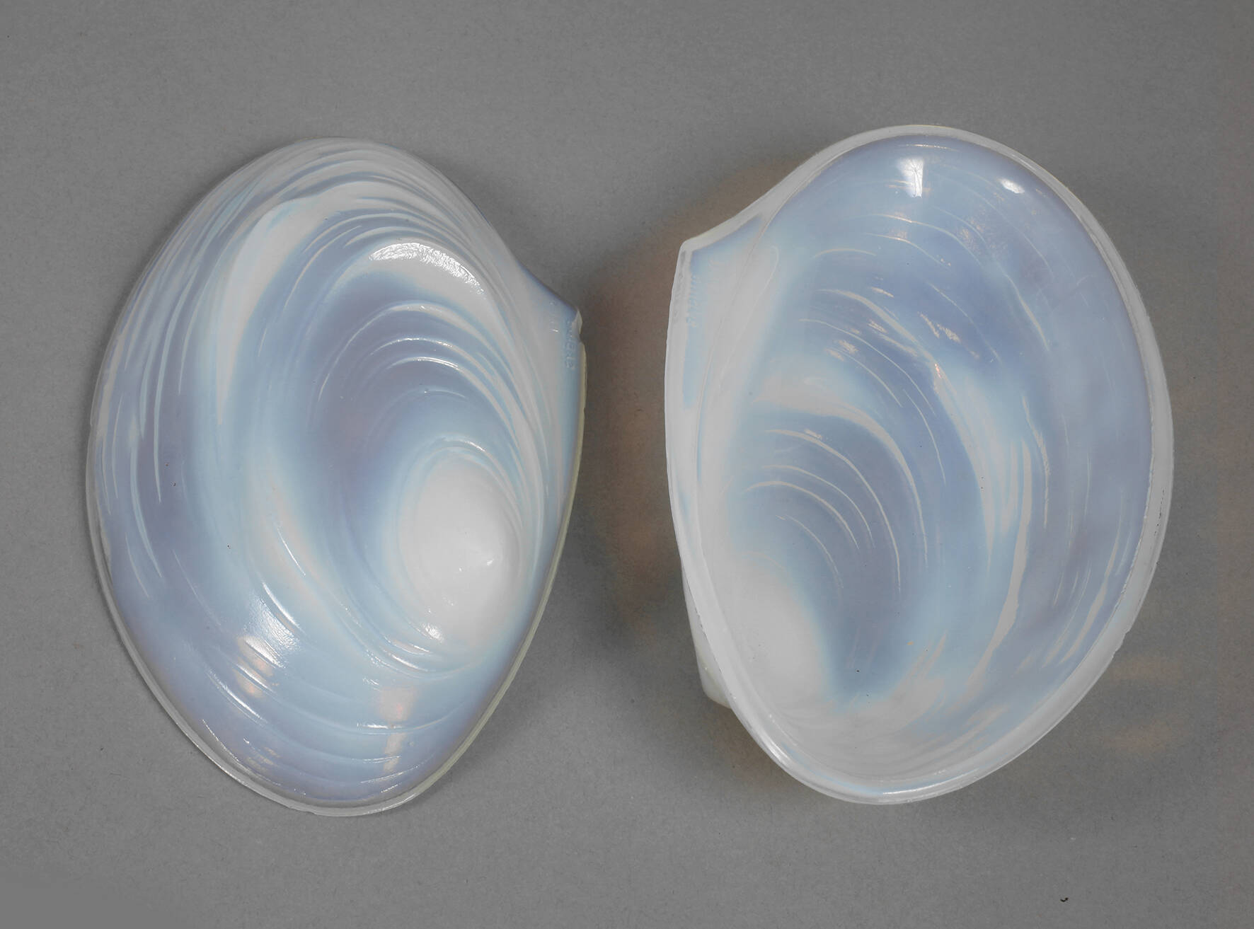 Sabino France zwei Muschelschalen