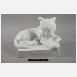 Meissen "Junger Löwe"