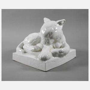 Meissen "Junger Löwe"