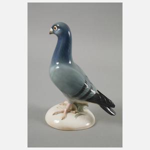 Schwarzburger Werkstätten "Täuber"