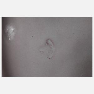 Karlsruhe Ziegenhirte