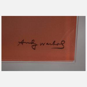 Designschale Andy Warhol Silberpfeil