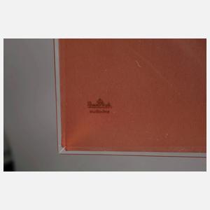 Designschale Andy Warhol Silberpfeil