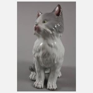 Heubach Lichte sitzende Katze