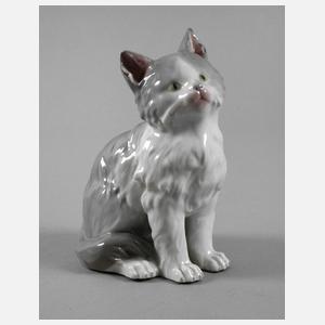 Heubach Lichte sitzende Katze