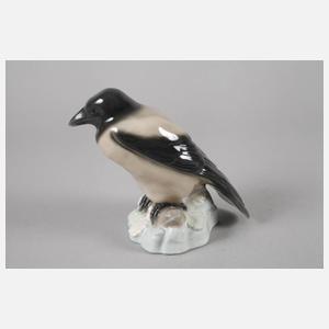 Thüringen Nebelkrähe