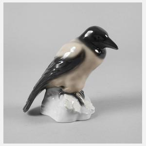 Thüringen Nebelkrähe