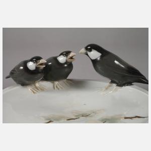 Thüringen Visitenkartenschale mit Jungvogelfütterung