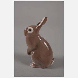 Kopenhagen Hase