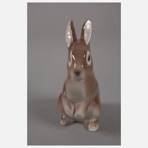 Kopenhagen Hase